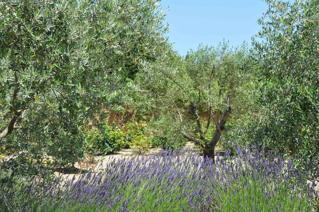 La Maison De Line Saint-Rémy-de-Provence Δωμάτιο φωτογραφία