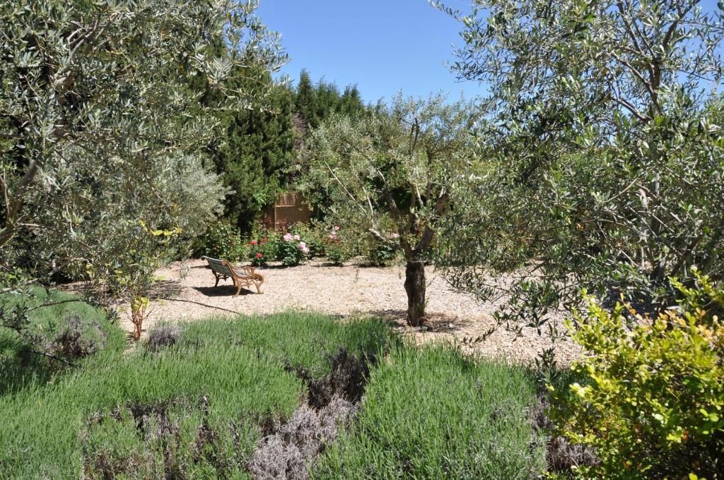 La Maison De Line Saint-Rémy-de-Provence Εξωτερικό φωτογραφία