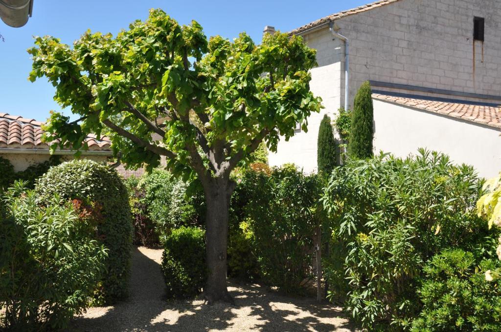 La Maison De Line Saint-Rémy-de-Provence Εξωτερικό φωτογραφία