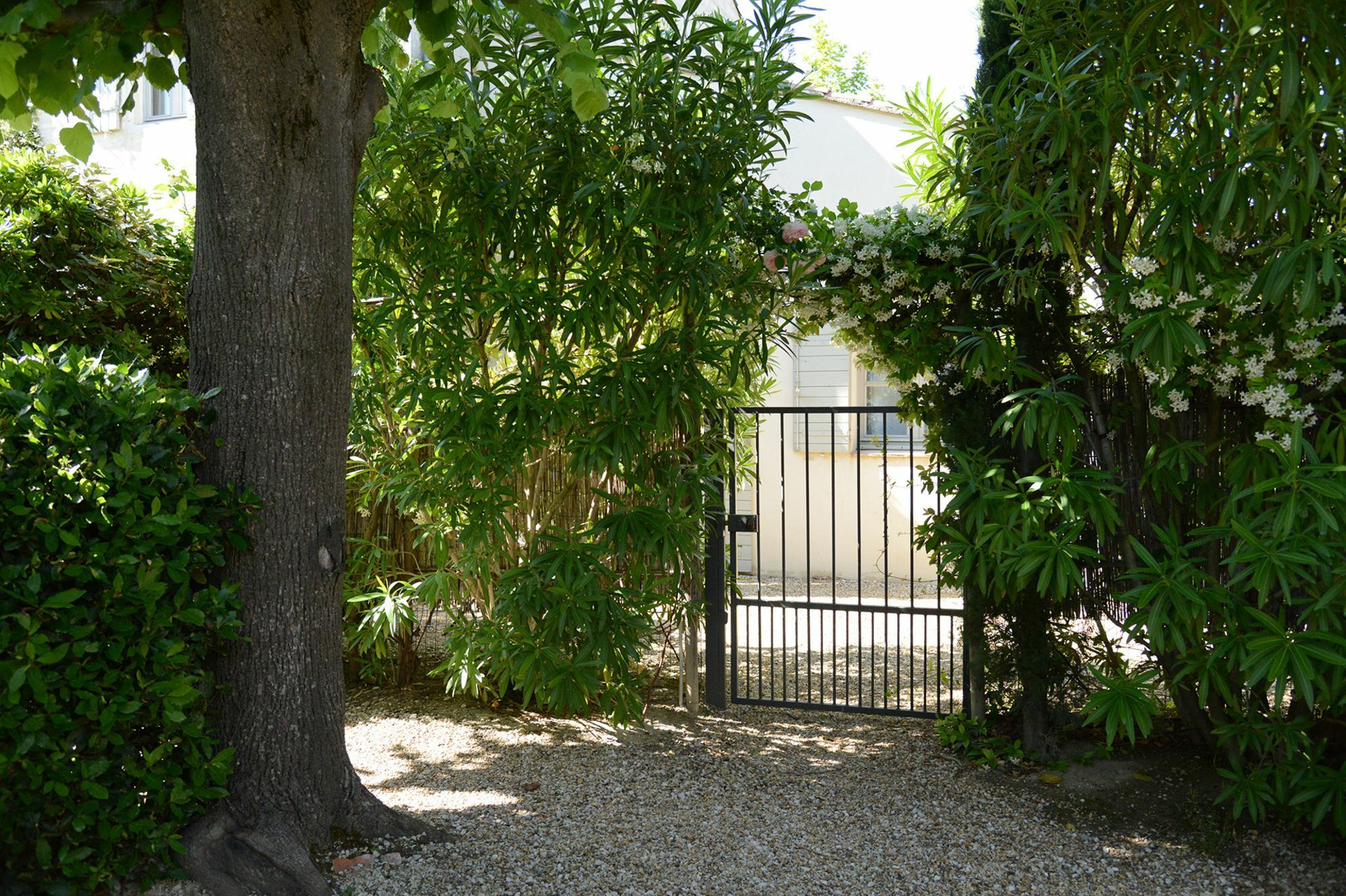La Maison De Line Saint-Rémy-de-Provence Εξωτερικό φωτογραφία